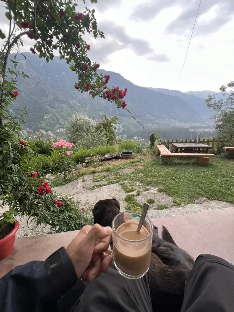Holding a glass of milky chai on a terrace looking out at green mountains.